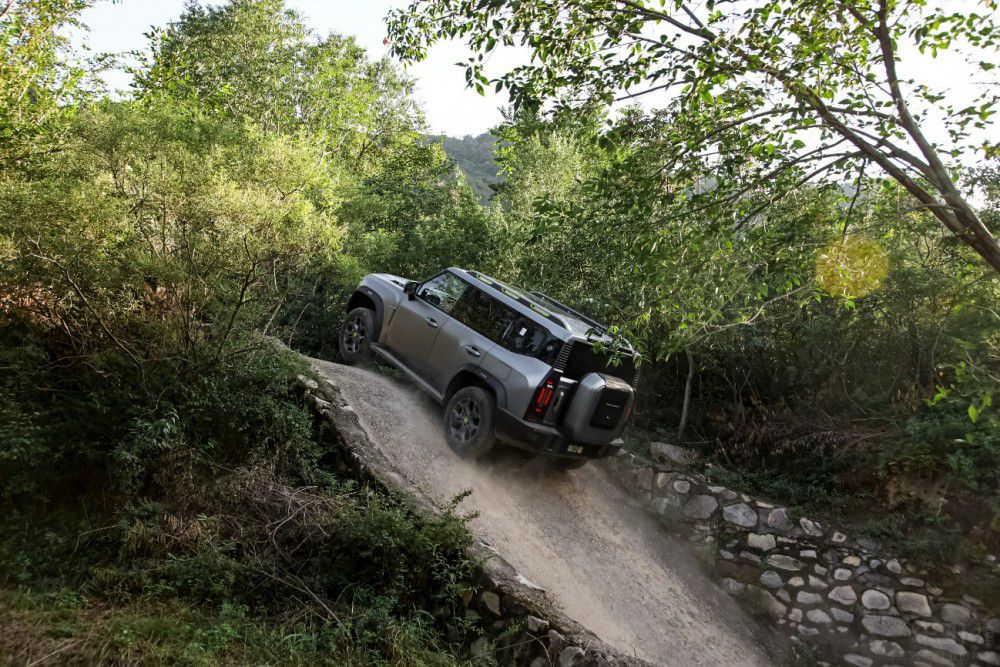 ��;������13.99�f���� ��ӆ����6�غ��Y