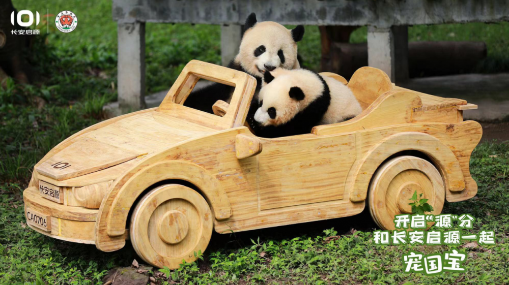 ������؈�̰֡����L(zh��ng)����Դ�ڰ�ʲô���O(sh��)��