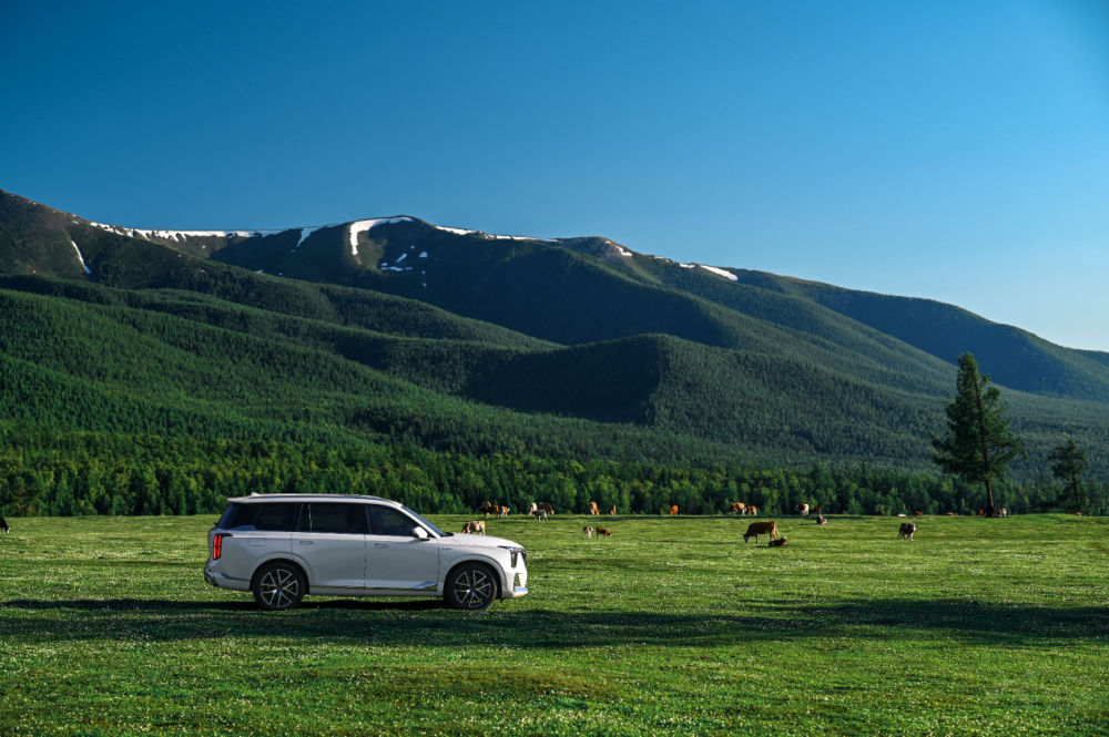 ��������ԴES9���ڶ���������̩�Ą�����