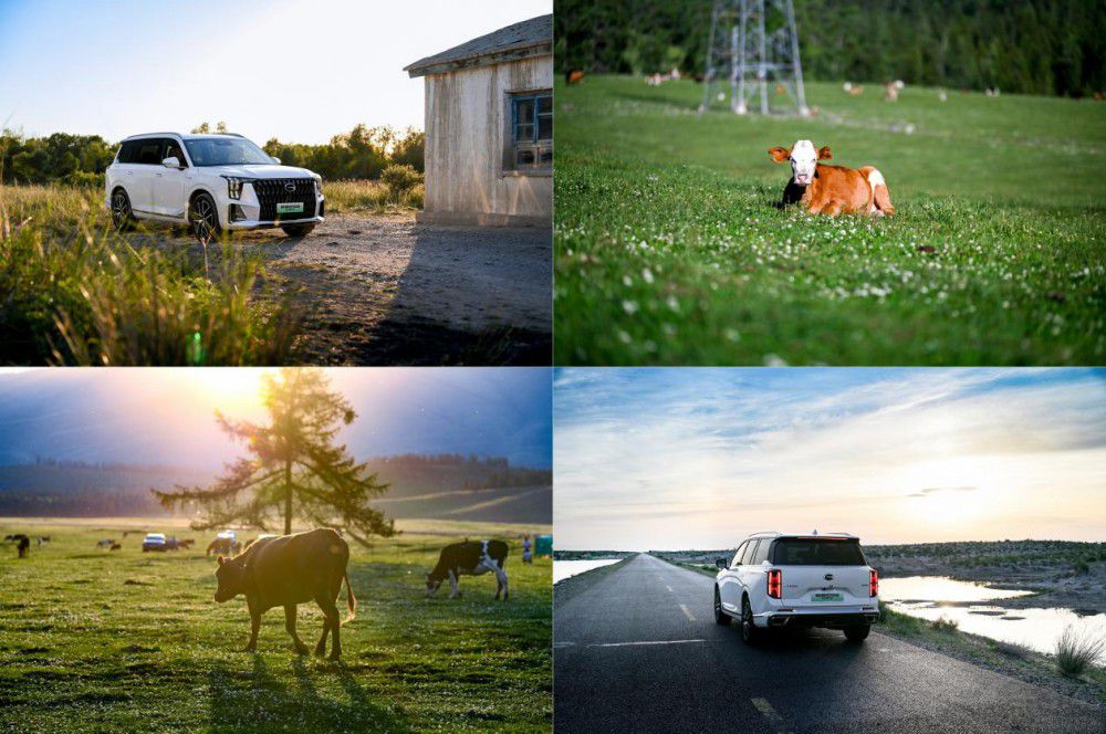 ��������ԴES9���ڶ���������̩�Ą�����