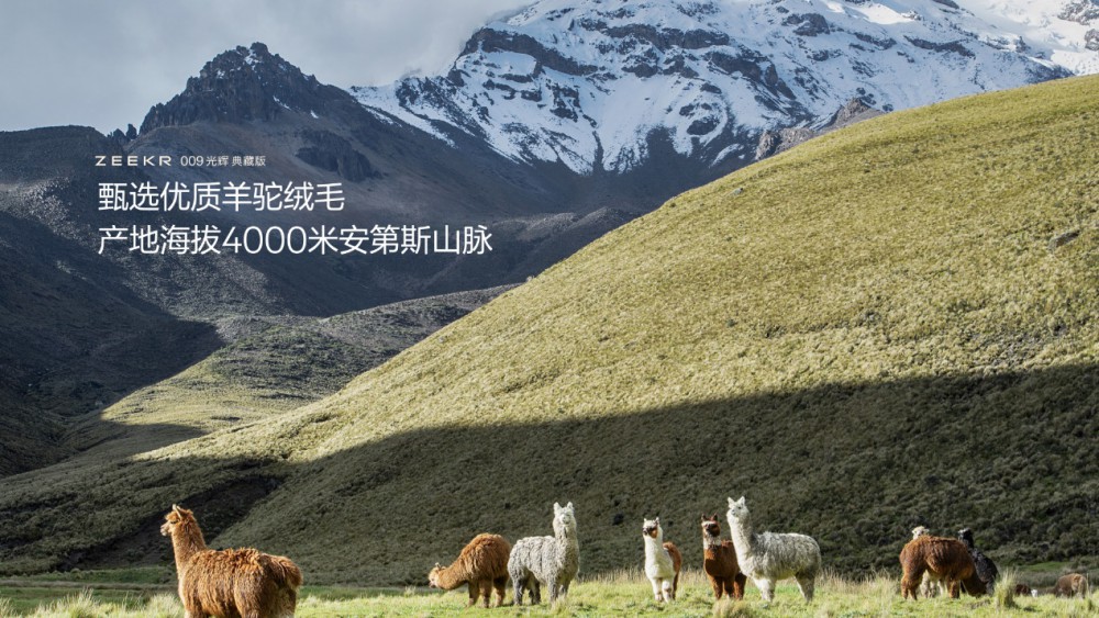 �ۃr(ji��)89.90�fԪ�����O�009��ʽ����