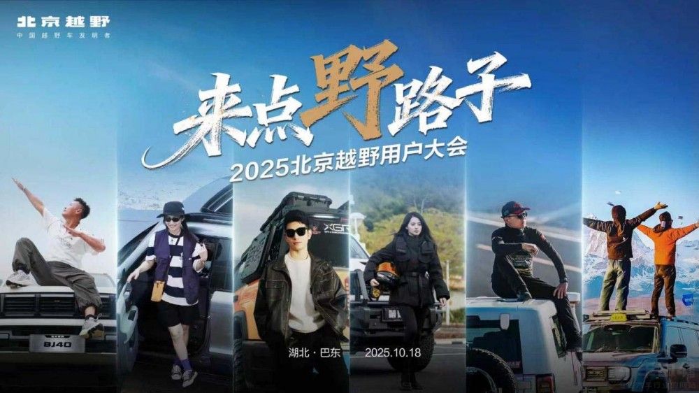 2025����ԽҰ�Ñ�(h��)���(hu��)�͖|��Ļ��BJ30����