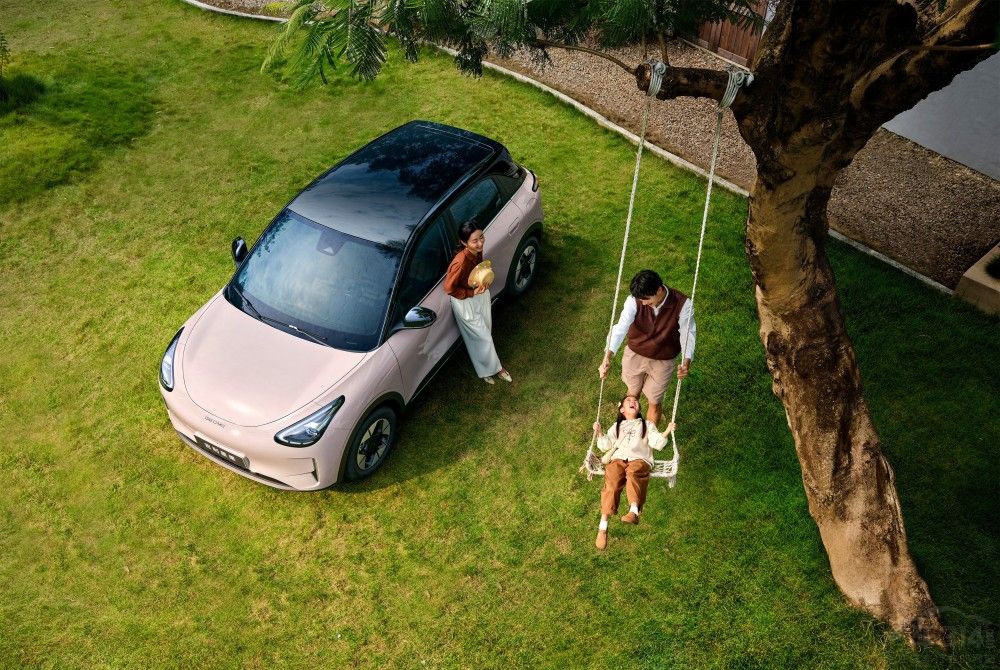 2026�����Ըȫ������ ����STAR�޶���