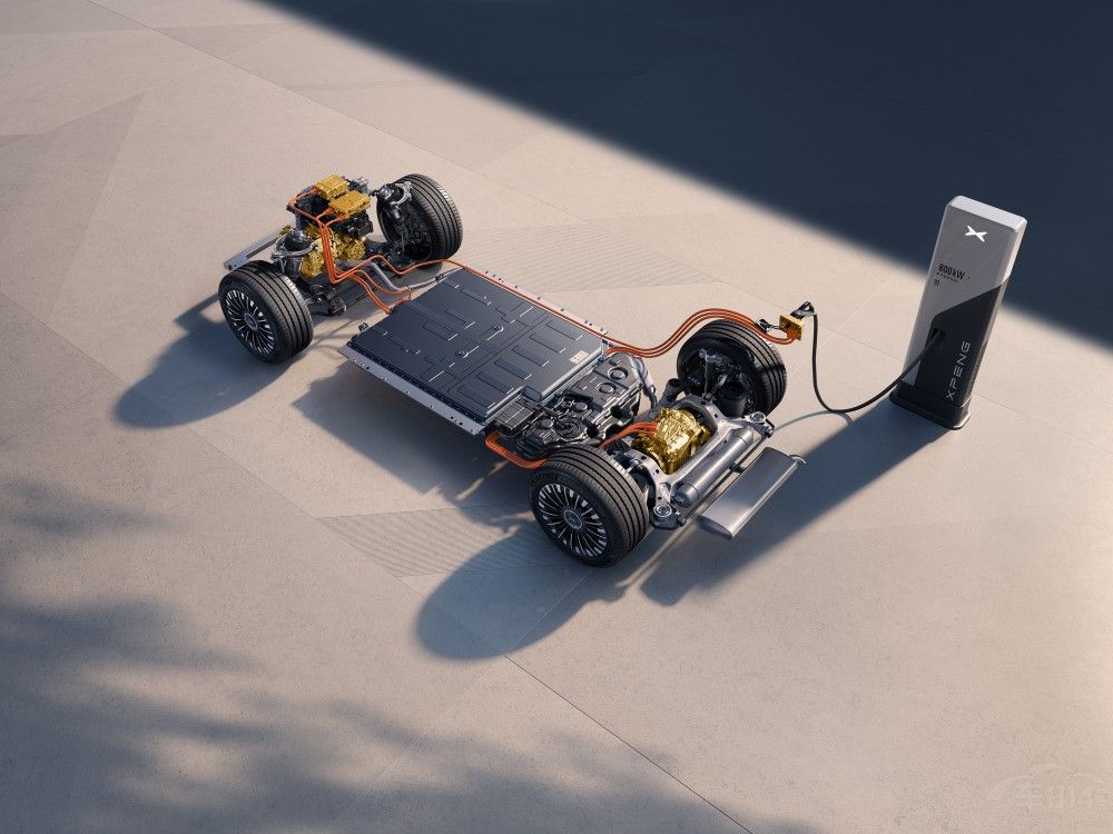 ��ȫ���m(x��)�����L(zh��ng)��������С�iX9����(j��)��������