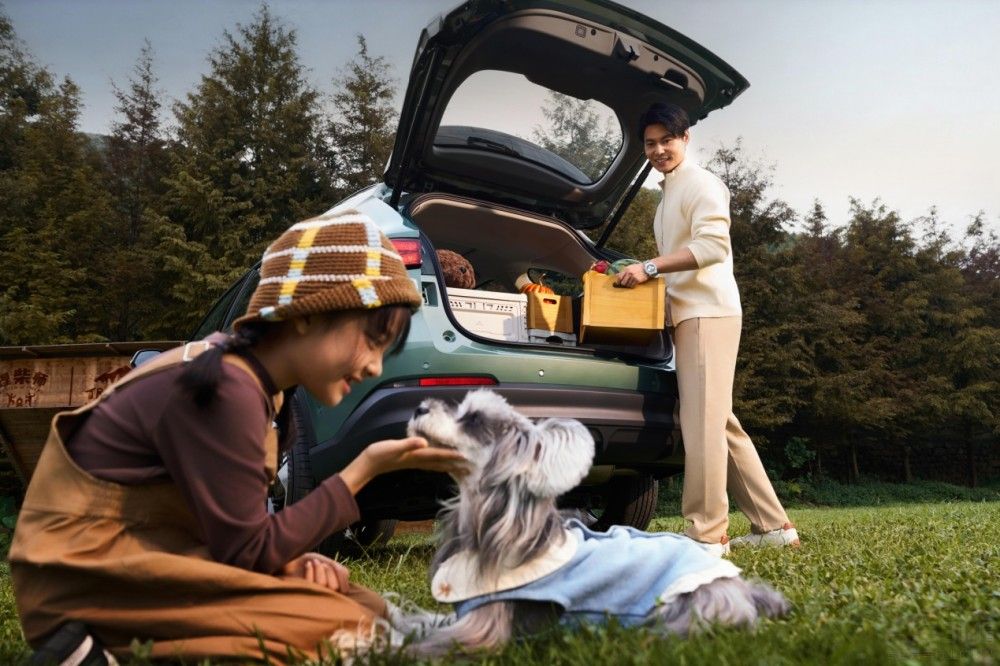 ����H6LԽ���ǈ� �ޕr����r10.39�fԪ��