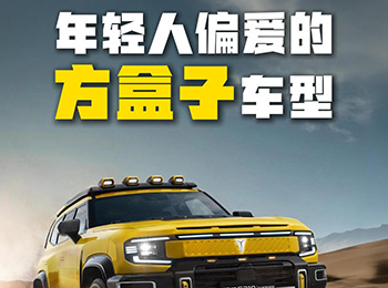 �@����ԽҰ܇�����p��ƫ�۷�����ģ����