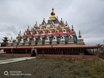 ���{���[�����w���ԭ ��������׌������